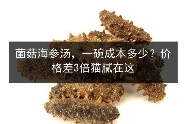菌菇海参汤,一碗成本多少?价格差3倍猫腻在这