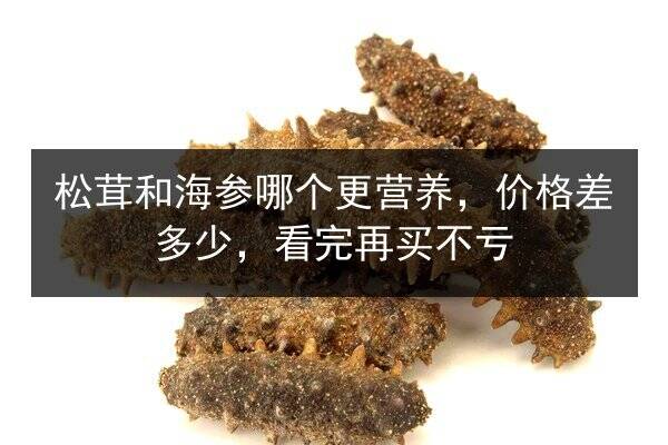 松茸和海参哪个更营养,价格差多少,看完再买不亏