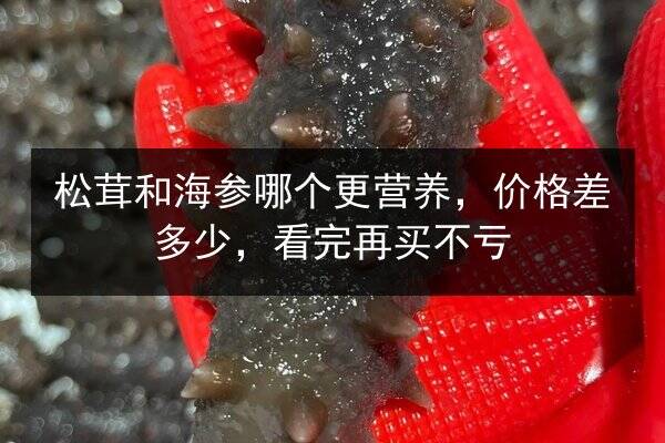 松茸和海参哪个更营养,价格差多少,看完再买不亏