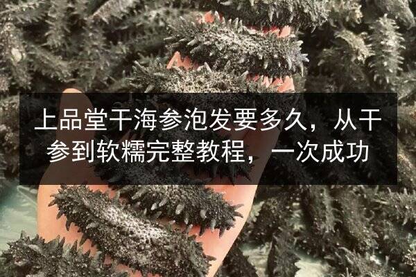 上品堂干海参泡发要多久，从干参到软糯完整教程，一次成功