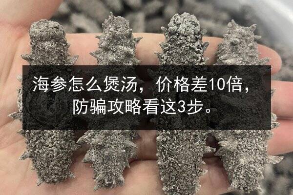 海参怎么煲汤,价格差10倍,防骗攻略看这3步。