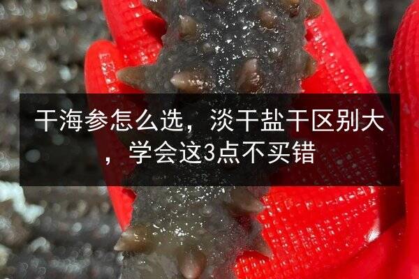 干海参怎么选，淡干盐干区别大，学会这3点不买错