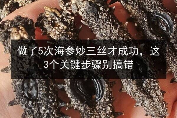 做了5次海参炒三丝才成功,这3个关键步骤别搞错