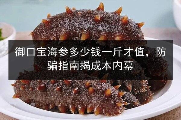 御口宝海参多少钱一斤才值,防骗指南揭成本内幕
