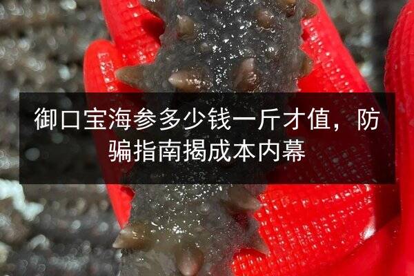 御口宝海参多少钱一斤才值,防骗指南揭成本内幕