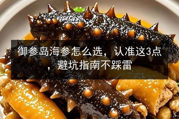 御参岛海参怎么选，认准这3点，避坑指南不踩雷