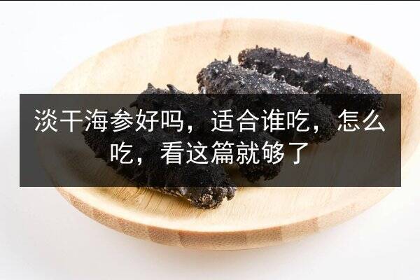 淡干海参好吗,适合谁吃,怎么吃,看这篇就够了
