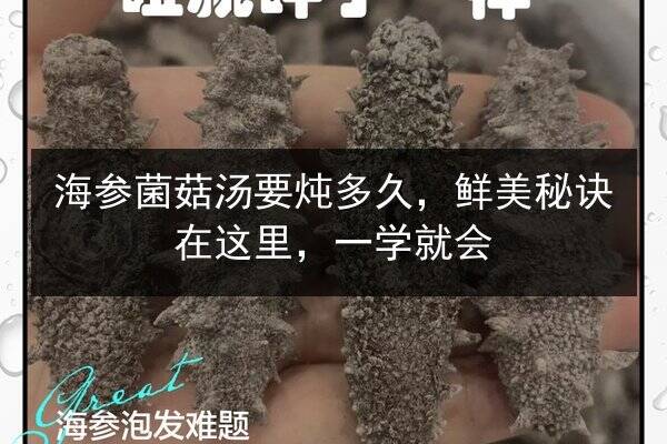 海参菌菇汤要炖多久,鲜美秘诀在这里,一学就会