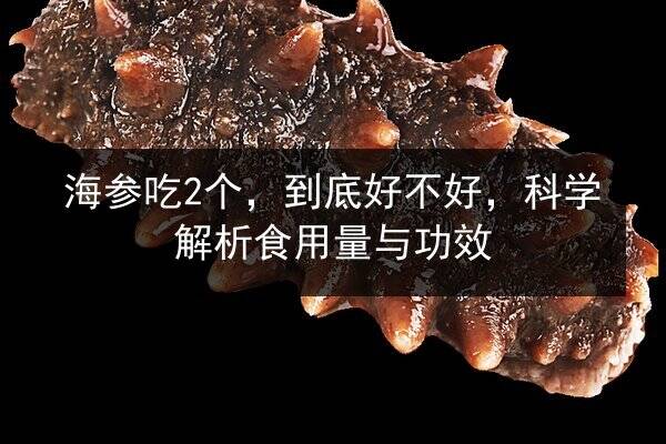 海参吃2个,到底好不好,科学解析食用量与功效