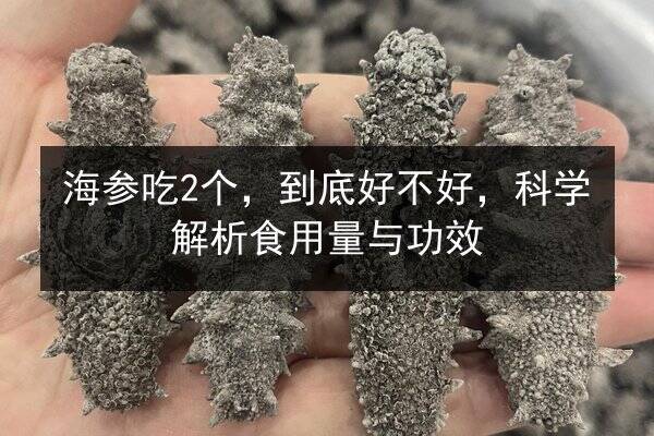 海参吃2个,到底好不好,科学解析食用量与功效