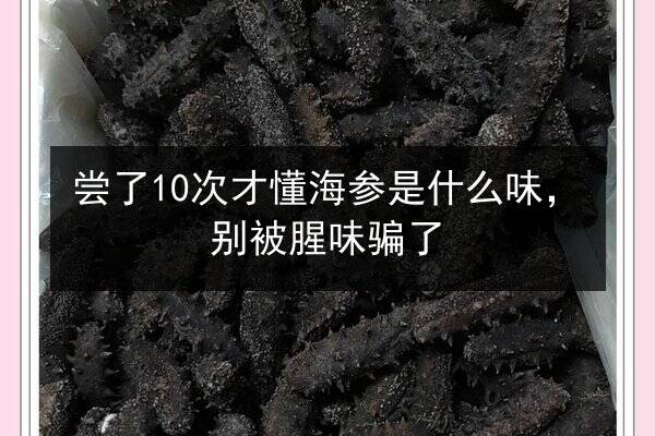 尝了10次才懂海参是什么味,别被腥味骗了