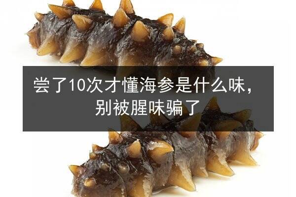 尝了10次才懂海参是什么味,别被腥味骗了