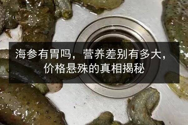 海参有胃吗,营养差别有多大,价格悬殊的真相揭秘