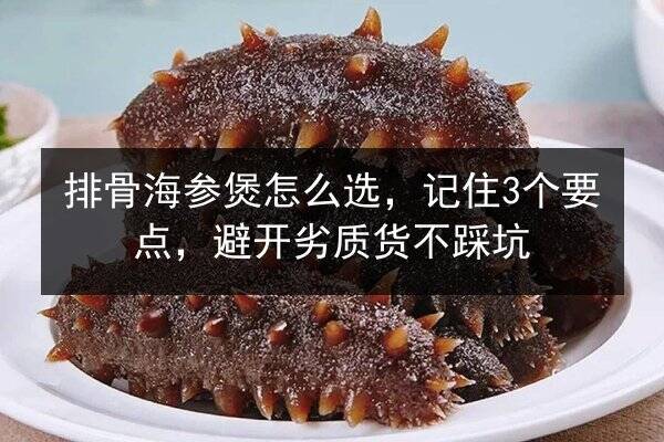 排骨海参煲怎么选，记住3个要点，避开劣质货不踩坑