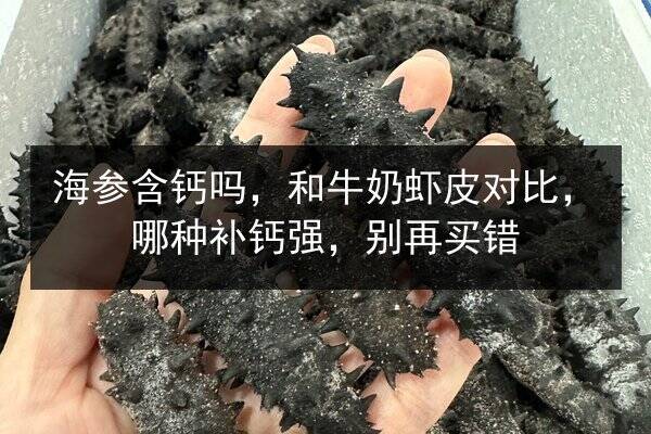 海参含钙吗，和牛奶虾皮对比，哪种补钙强，别再买错