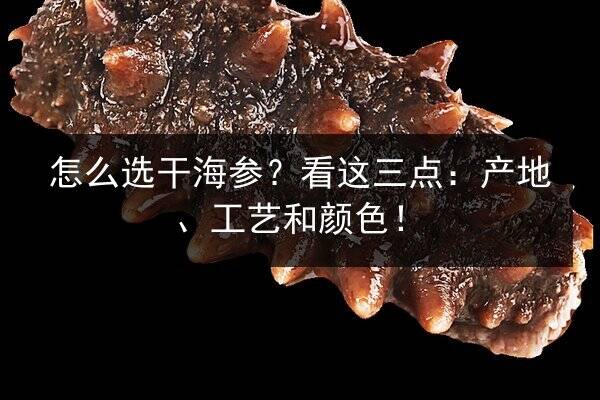 怎么选干海参？看这三点：产地、工艺和颜色！