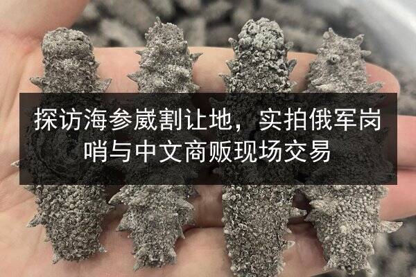 探访海参崴割让地,实拍俄军岗哨与中文商贩现场交易