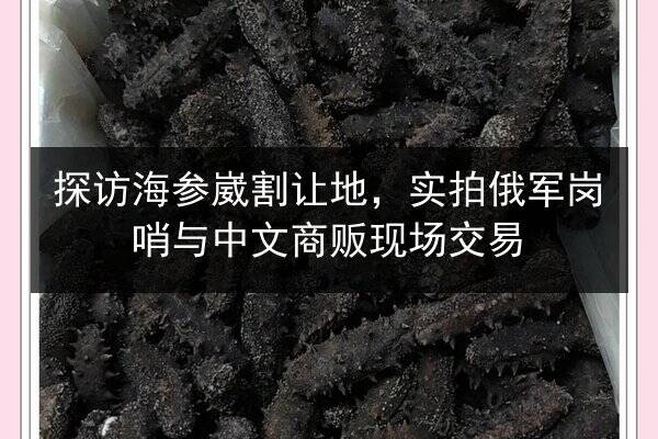 探访海参崴割让地,实拍俄军岗哨与中文商贩现场交易