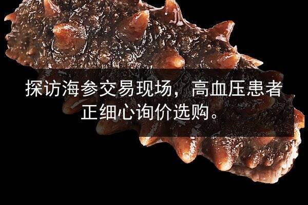 探访海参交易现场，高血压患者正细心询价选购。